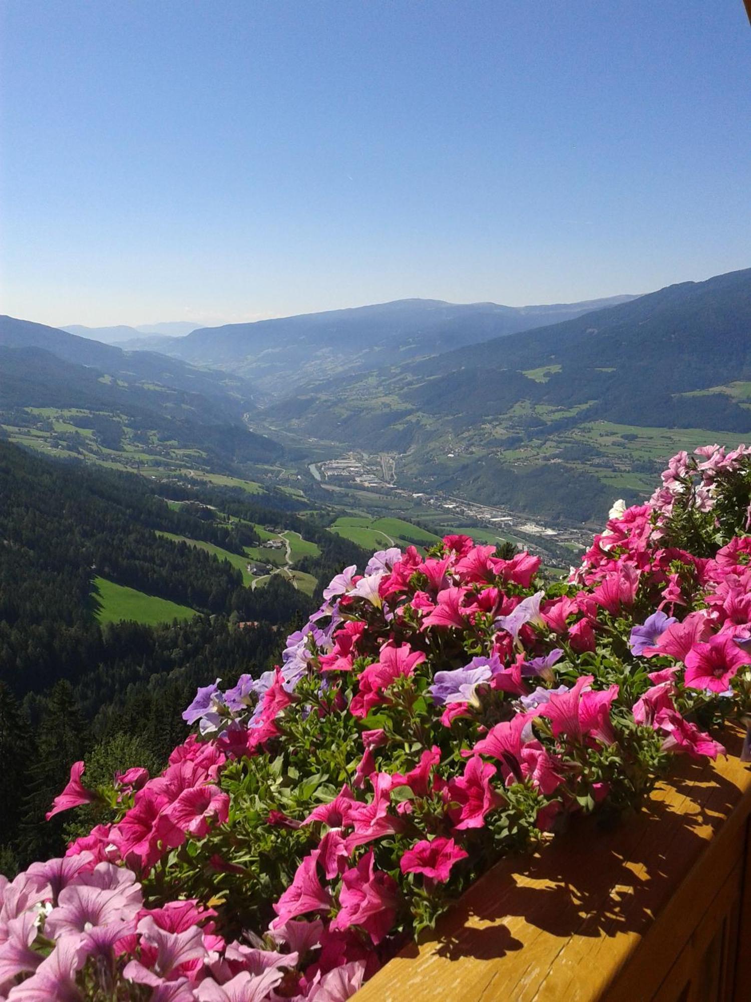 Kaserhof Wandern- Alleinlage - Ruhig- Top Aussicht Bressanone Esterno foto